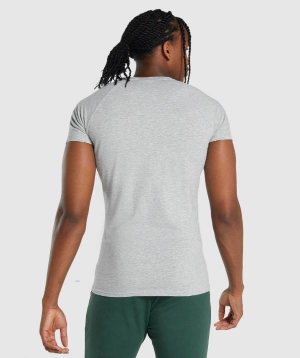 Panske Tricka Gymshark Critical 2.0 Svetlo Siva | NO7541869